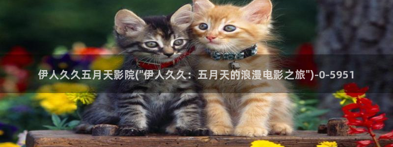 第一影院伊人久久