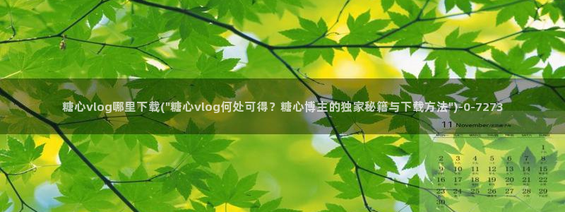 糖心vlog美女：糖心vlog哪里下载(\