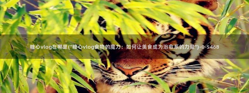 糖心vlog官网在线下载：糖心vlog在哪里(\