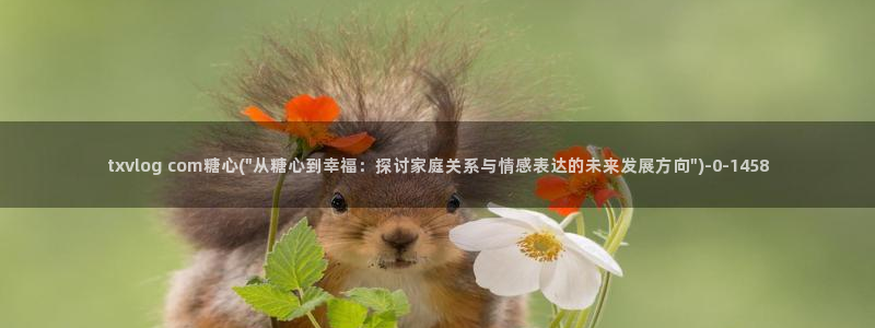 什么是糖心vlog：txvlog com糖心(\