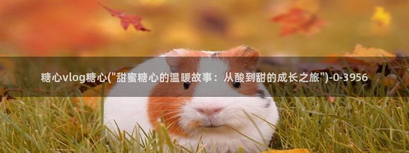 糖心vloge：糖心vlog糖心(\