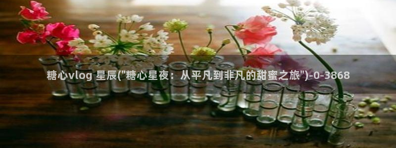 51糖心vlog破解版：糖心vlog 星辰(\