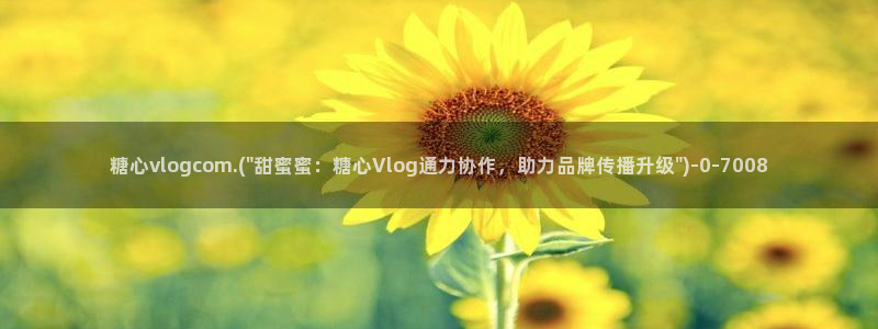 糖心vlog破解版官网
