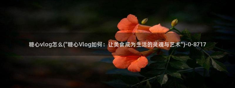糖心vlog小欣奈