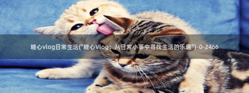 糖心vlog中国