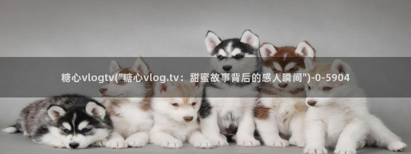 糖心vlog二维码